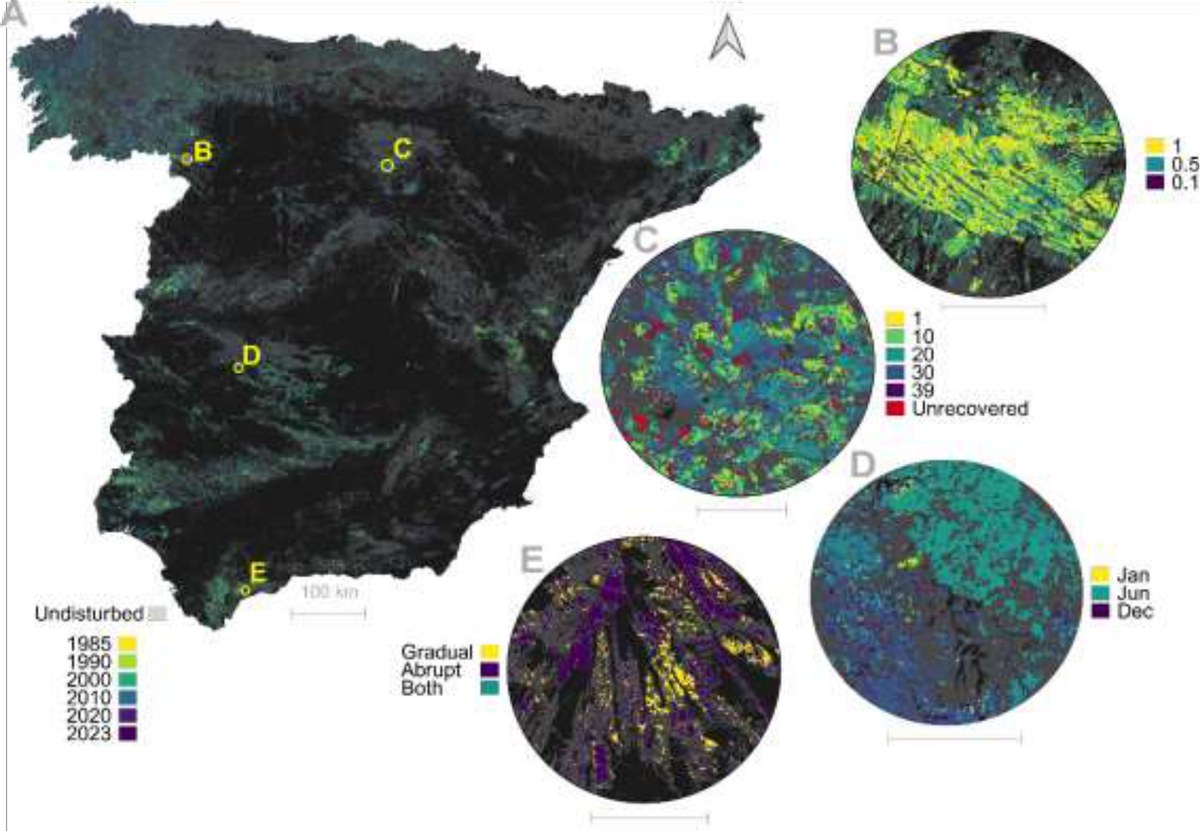 Forest disturbance in Spain, 1985&ndash;2023
